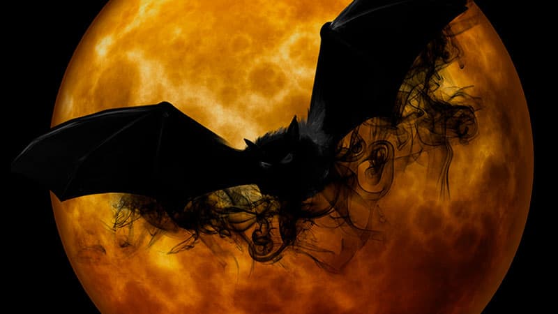 Летучая мышь: является ли она символом смерти?