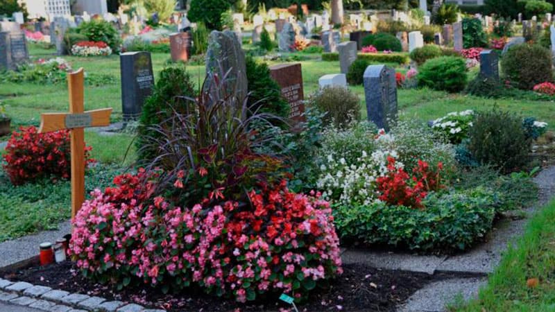 Цветы Посадить На Кладбище Фото